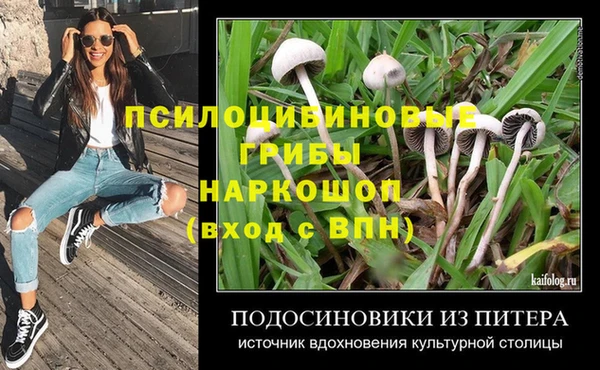 крисы Няндома
